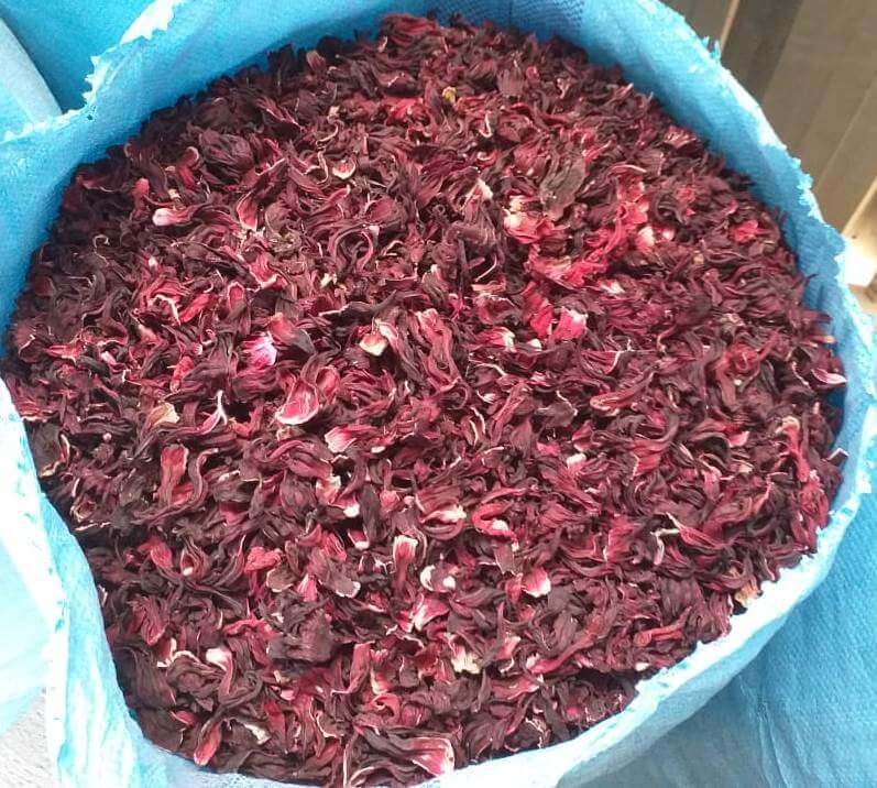 Hibiscus main image