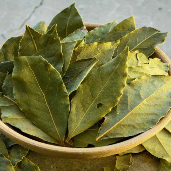 Bay leaves secondary
