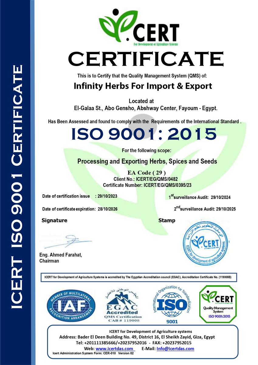 ISO 9001 Certificate