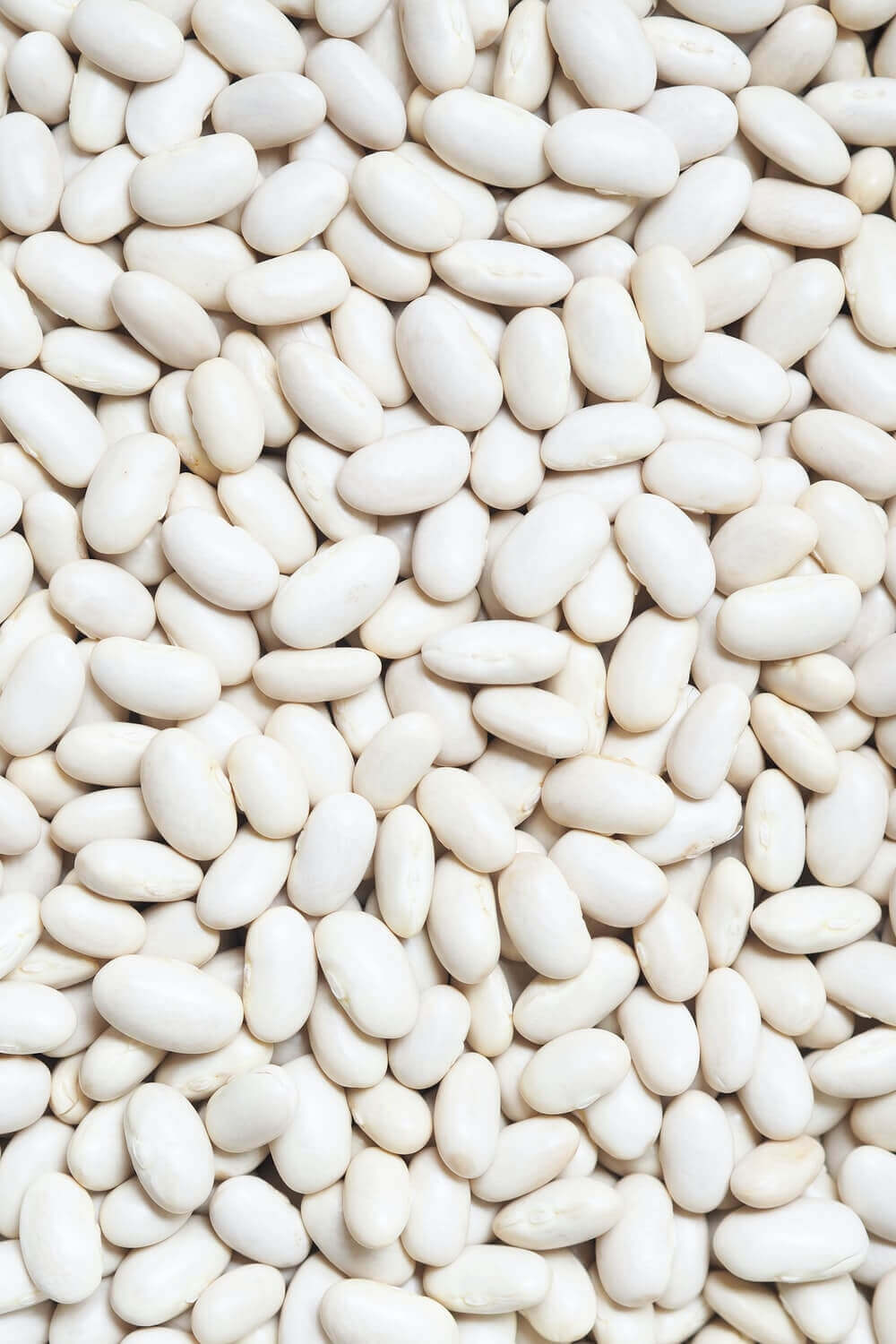 White Beans main image