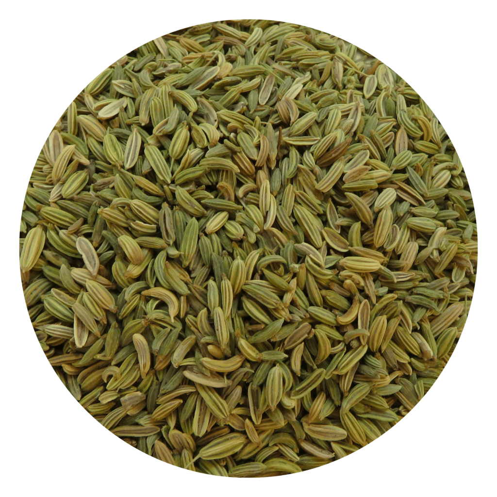 fennel seed main image