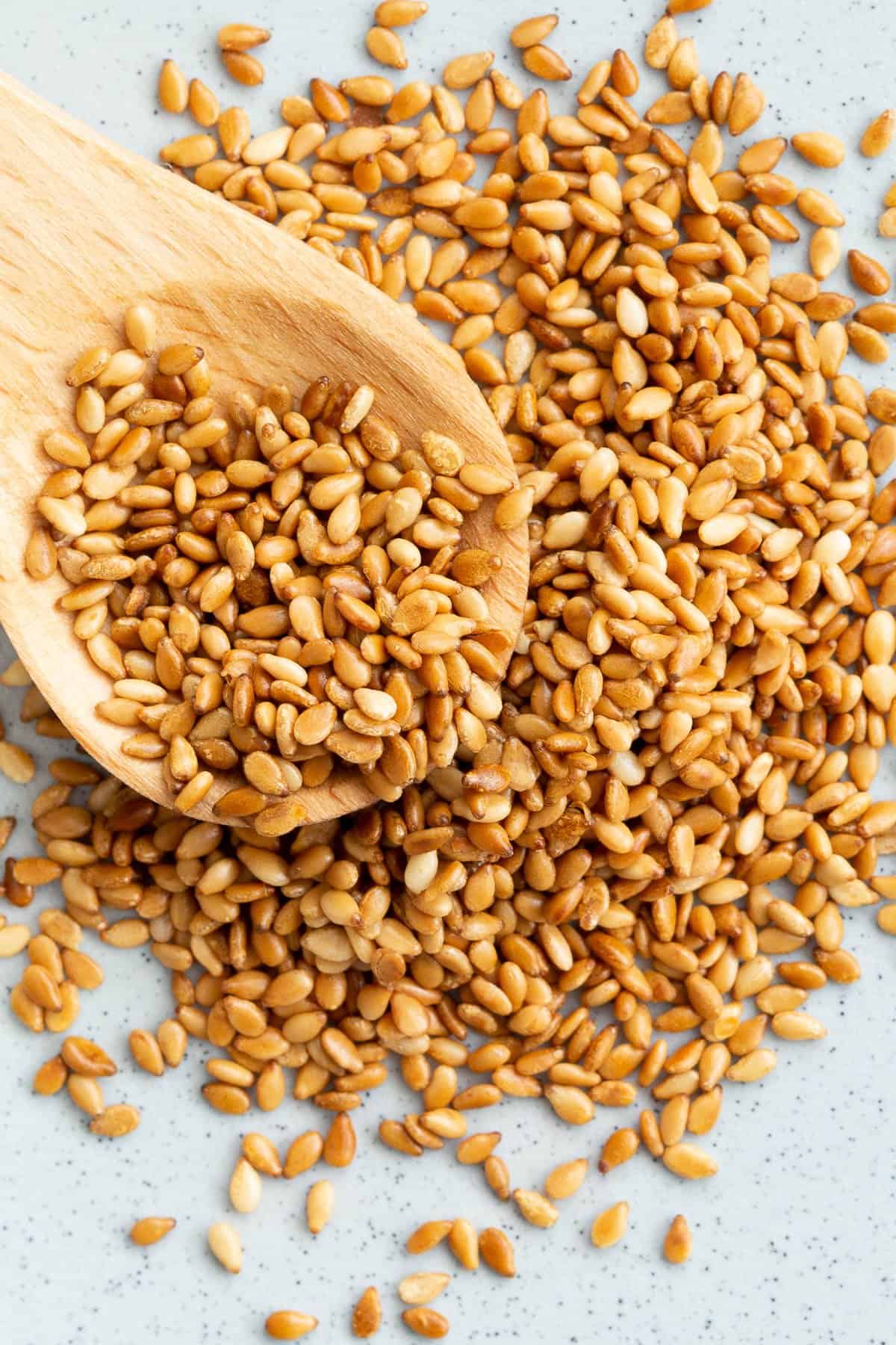 Sesame main image