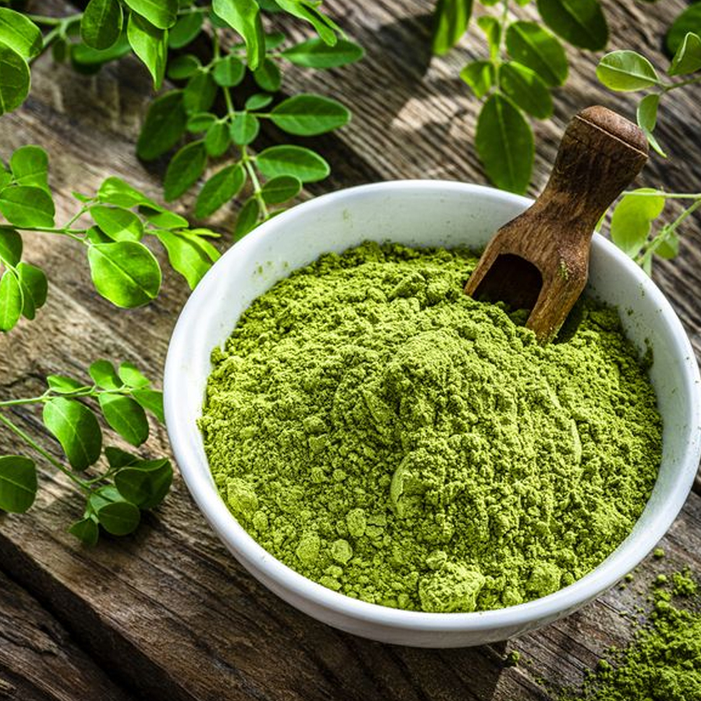Moringa main image